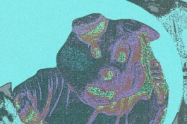 Footstep, Boss Trick, Линия Бикини, Магнолия