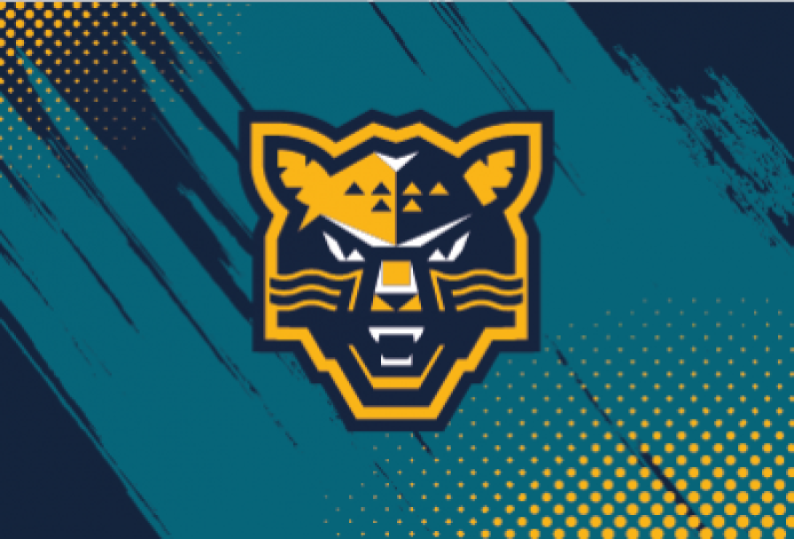 Хк Шанхай Дрэгонс