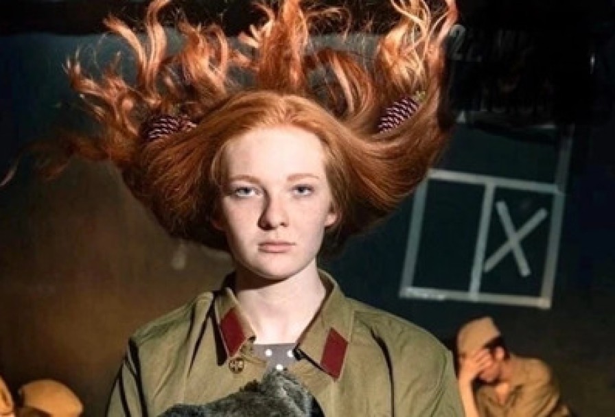 Хохолок на Еловых Шишках. Память Нашего Двора