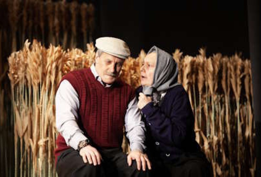 Калина Красная