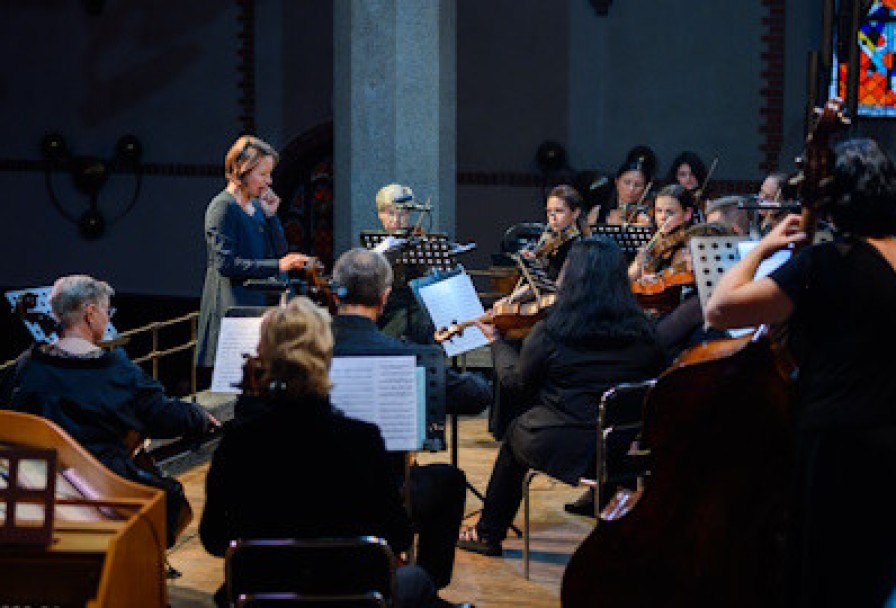 Камерный Оркестр Приглашает Моцарт Гала