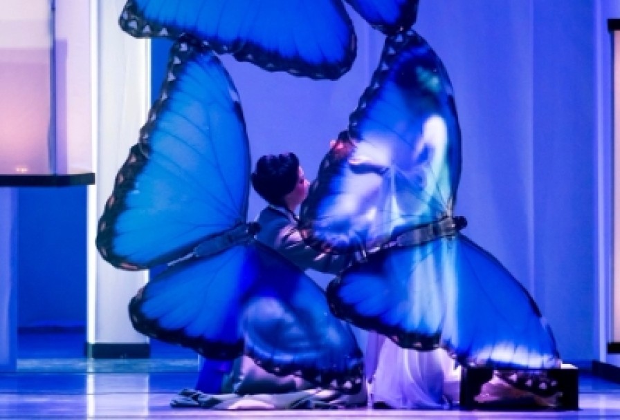 Мадам Баттерфляй