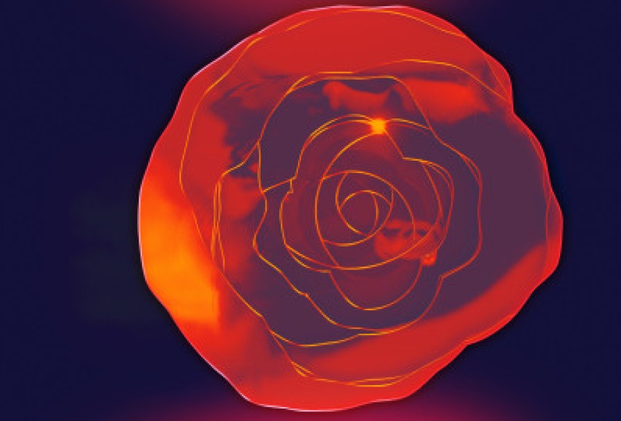 Маленький Принц. Lumisfera