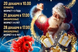 Новогоднее Шоу с Дедом Морозом