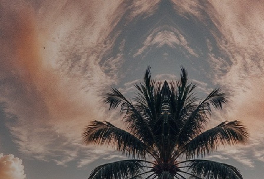 Satori Odyssey Concert Savaya