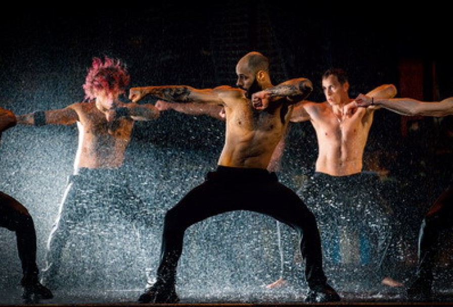 Сезон Дождей