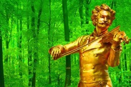 Штраус-Гала. Сказки Венского Леса