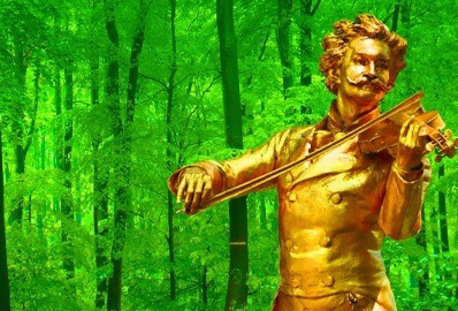 Штраус-Гала. Сказки Венского Леса