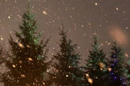 Снежная Королева