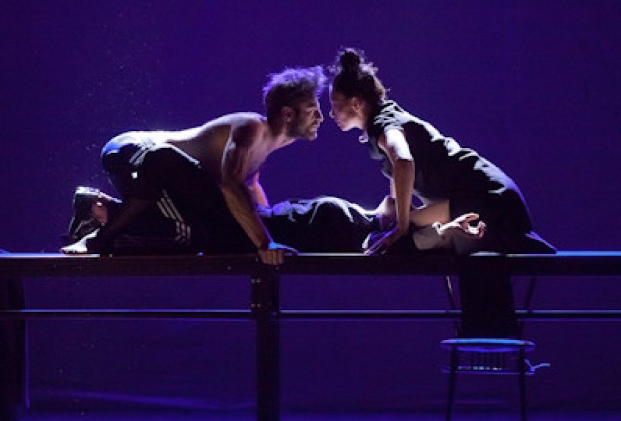 Собачье Сердце