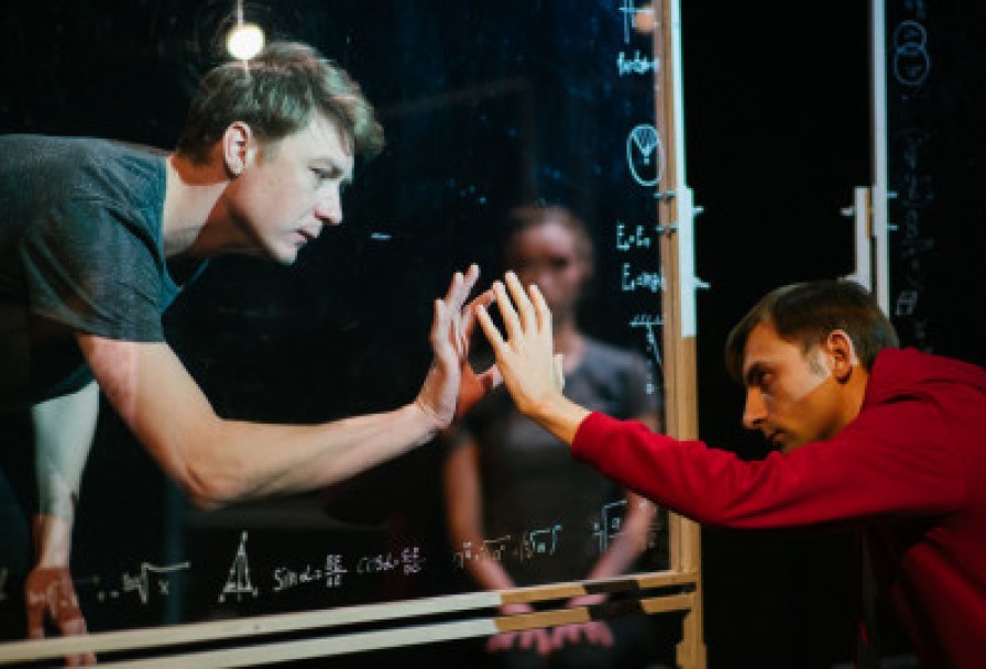 Загадочное Ночное Убийство Собаки