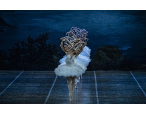 Лебединое Озеро