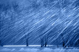 а.петров Пушкин, Свиридов Метель