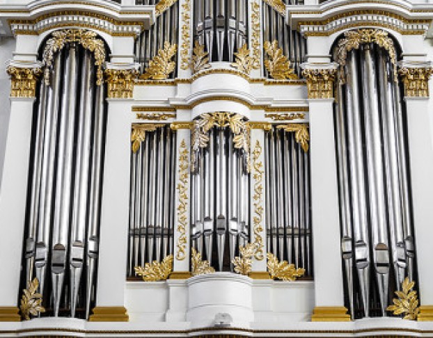 Евгения Лисицына. Орган