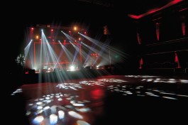 Дискотека -да, Брови Выщипала