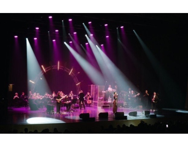 Sade No Ordinary Tribute Show