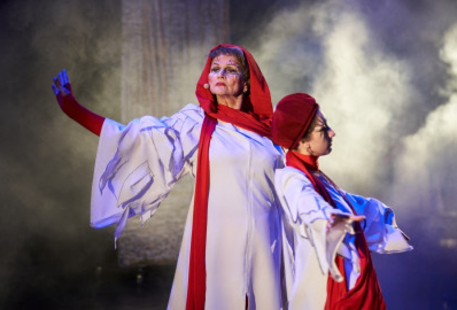 Путешествие Нильса с Дикими Гусями