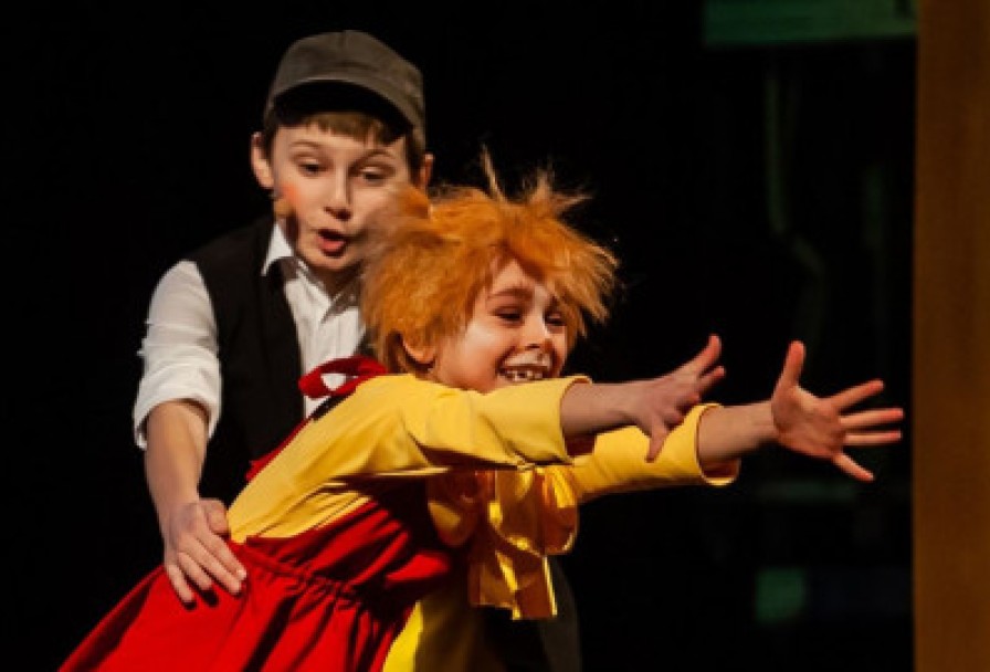 Путешествие Нильса с Дикими Гусями