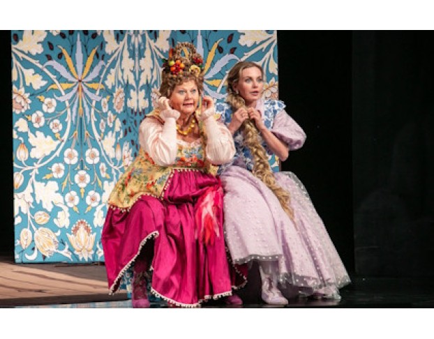 не в Свои Сани не Садись