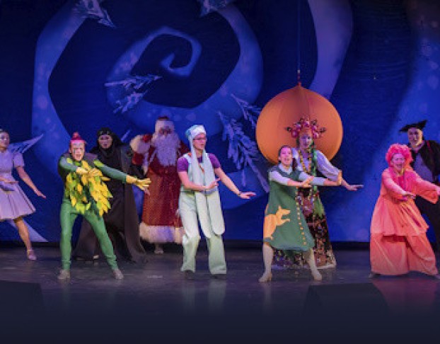 Новогодние Приключения Маши и Вити