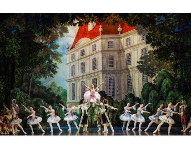 Спящая Красавица