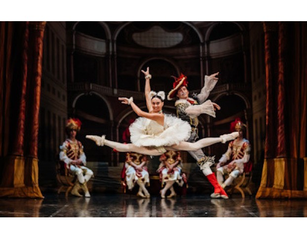 Спящая Красавица