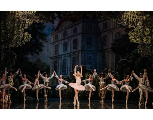 Спящая Красавица