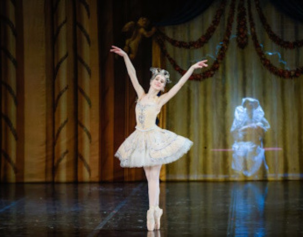 Спящая Красавица