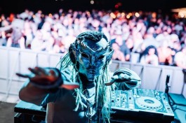 Lfd Promo Night Ibiza