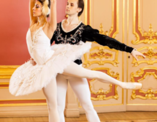 Лебединое Озероswan