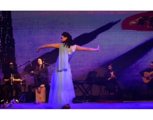 Сальвадор. Фламенко