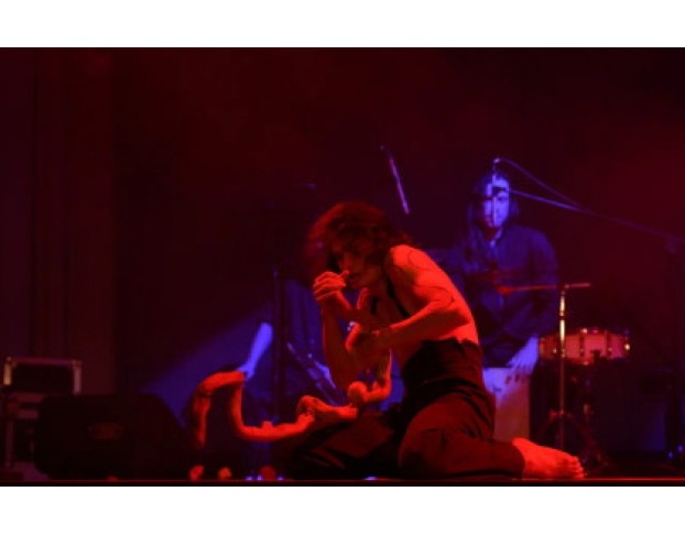 Сальвадор. Фламенко