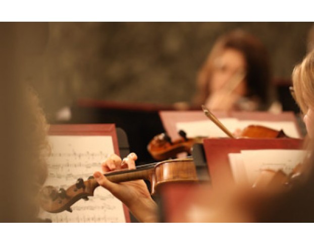 Ансамбль Солистов Губернаторского Симфонического. Дворжак. Элгар. Чайковский