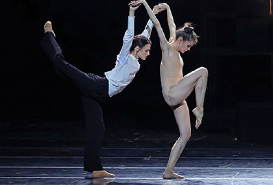 Двенадцать