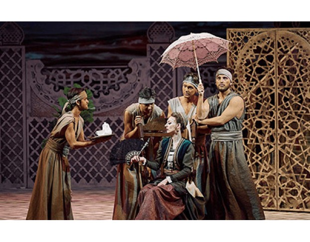 Похищение из Сераля