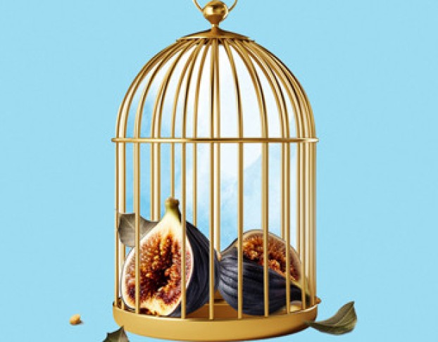 Похищение из Сераля