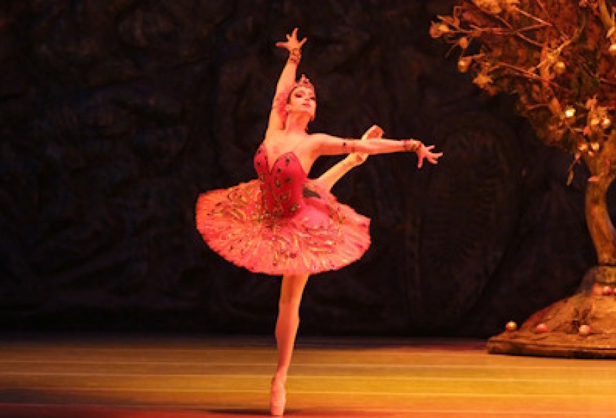 Жар-Птица. Лебедь. Видение Розы. Шехеразада