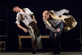 Белые Флаги