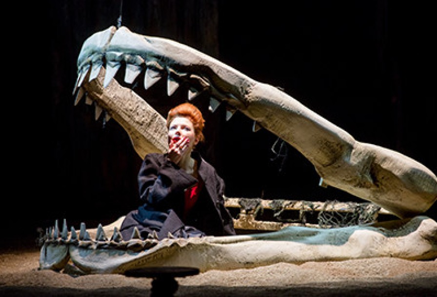 Звериные Истории. Браво