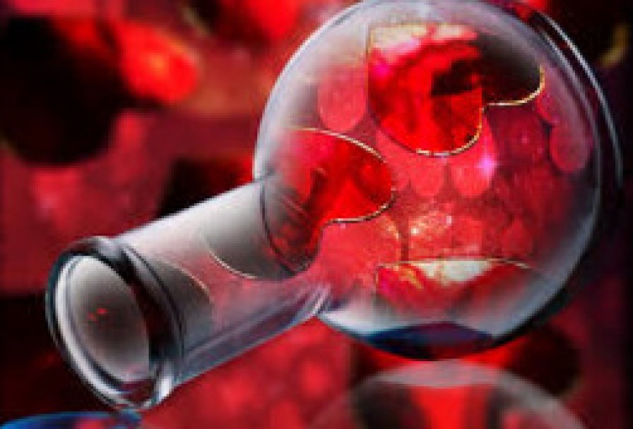 Любовный Напиток- Иммерсивная Опера с Вином в Главной Роли