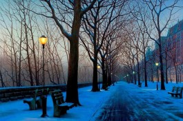 Сумерки в Начале Января