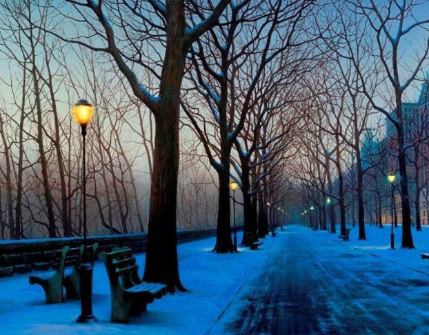 Сумерки в Начале Января