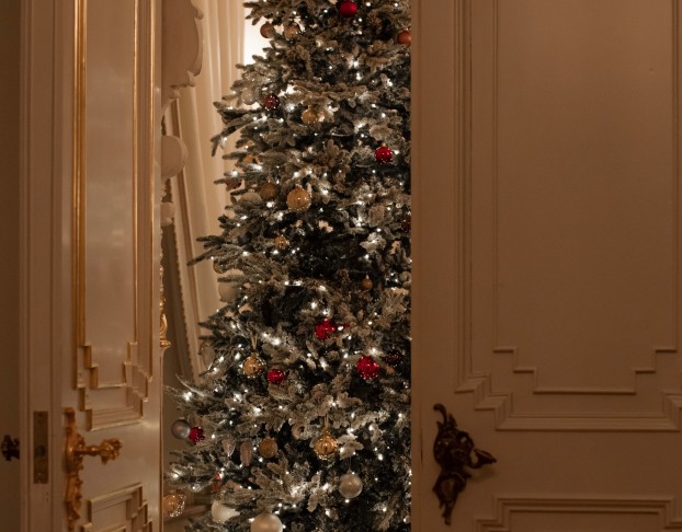 Иммерсивный Святочная Терапия Доктора Чехова