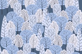 Музыка Зимнего Леса