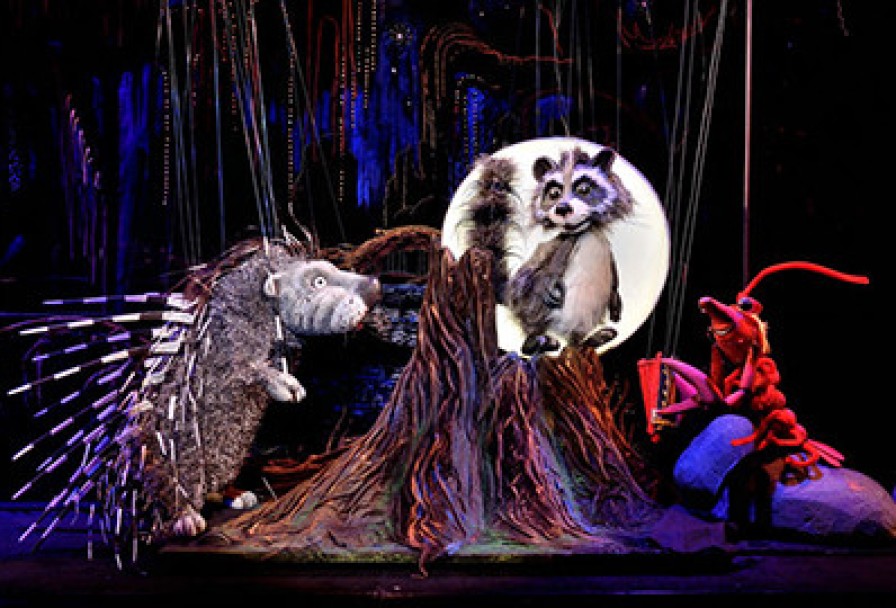 Крошка Енот