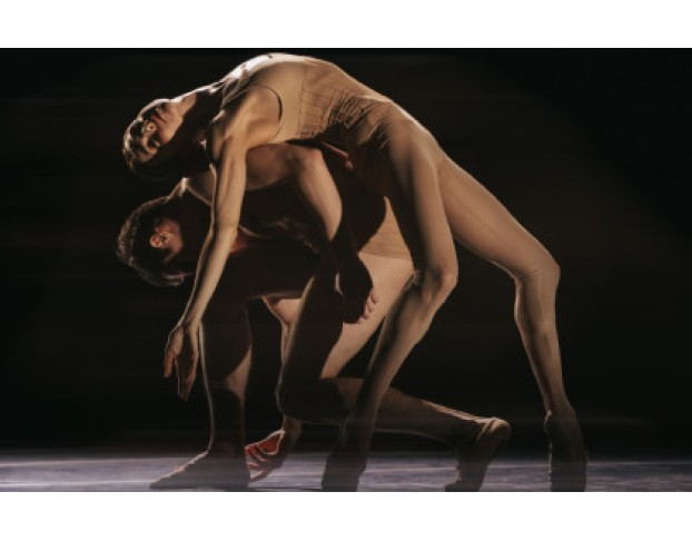 без Слов. Прелюдия. Белая Тьма