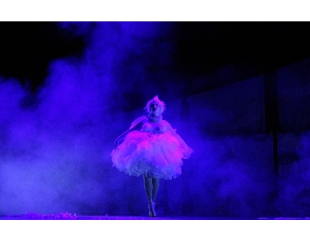 Анима Аллегра