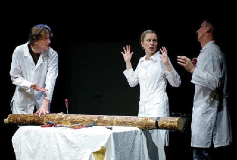 Записки Провинциального Врача