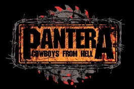 Pantera Tribute By Warhands