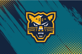 Хк  Нефтехимик